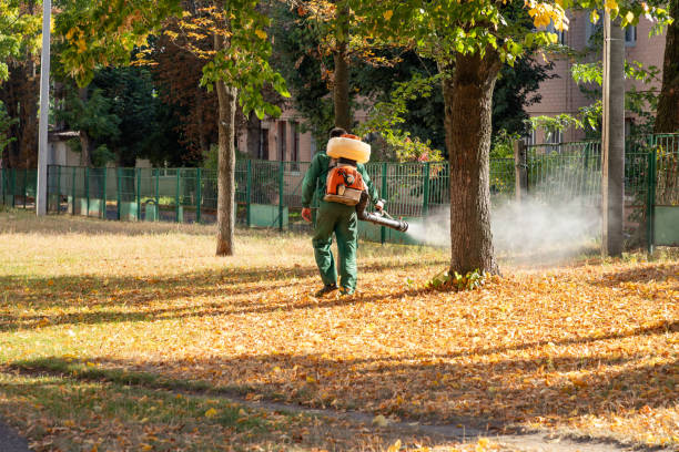 Pest Control for Restaurants in Park Hills, MO
