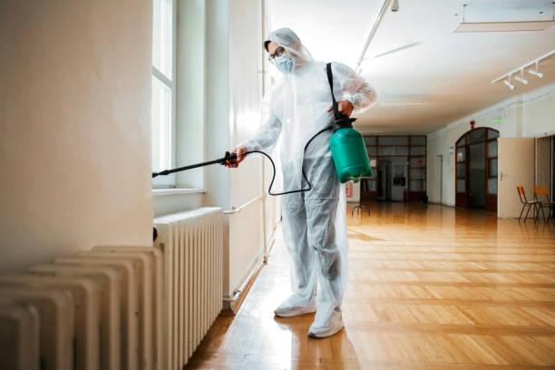 Best Pest Prevention Services  in Park Hills, MO